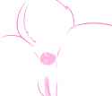 pinis.png