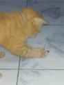 WaYIdE9_zps42fbf27e.gif