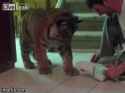 04.gif