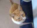 DSC00183.jpg