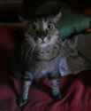 IMG-20160728-WA0012.jpg