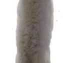 longcat2.jpg