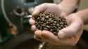 coffee-roasting-dangerous-lung-disease-2.jpg