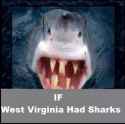 WV Shark.jpg