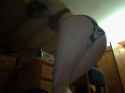 Snapshot_20121210_5.jpg