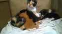 IMG-20151025-WA0002.jpg