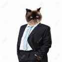 catsuit.jpg