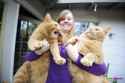 69817-cute-and-adorable-little-kittens.jpg