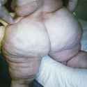 A large BBW butt.jpg