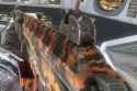 Amazing Gun.jpg