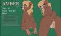 1092129_r3drunner_bearref.jpg