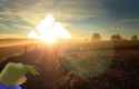 received_956523207802690.jpg