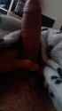 Screenshot_2016-10-09-16-50-35.png