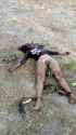 tranny-death-dick-hang-out-fatal-beating-brazil-01.jpg