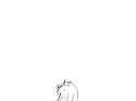 New Canvas.png