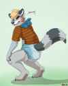 1399513719.paddedringtail_dexmessysmall.png