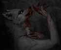 1347551416.nataliedecorsair_789704.jpg