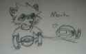 Pooka and Mocha-coon.jpg
