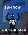 im now spidernigger.jpg