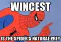 wincest is the spiderman's natural prey.jpg