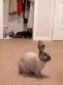 1474575265517.gif