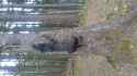 20160904_183211.jpg