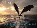 bfca62ab05c08d811cbf7ff4d33a2fe1.jpg