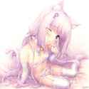 sample_85f1fbd659582d89e8b3f242fe51d769.jpg
