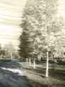 fleeting_moment_by_moppaa-d6pasro.jpg