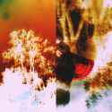 cosmic_noise_by_psycheanamnesis-d95rjdf.jpg