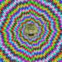 1460737049768.jpg