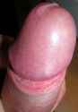 dscn6149.jpg