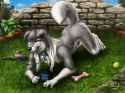 1435451467.diw-afterdark_good_dog,tyke_-nsfw.png