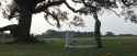 forrest-gump-jenny-grave.jpg