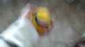 WIN_20160414_182804.jpg