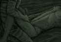 1337150138.shashia_greencatwhore.png