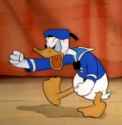Donald_Duck_-_temper.png
