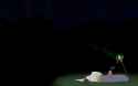 wallpapersleeping.png