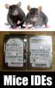 Mice IDEs.jpg