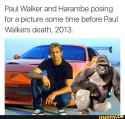 Harambe.jpg