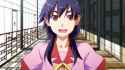 Suruga_second_season.jpg