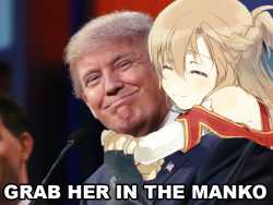 trumpanime.jpg