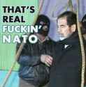 That's Real Fuckin' NATO.jpg