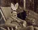 Furzig hase admin pr0nz? Jaaa.jpg