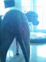 IMG_20130412_142222.jpg