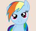 Dash2.png