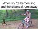 1477423759785.jpg