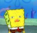 spong.jpg