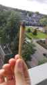 IMG-20161010-WA0000.jpg