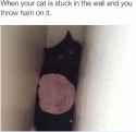 ^4A44C9D1F4A57523AC4E39BFF44B3142180A6A1CCEDA847F92^pimgpsh_fullsize_distr.png